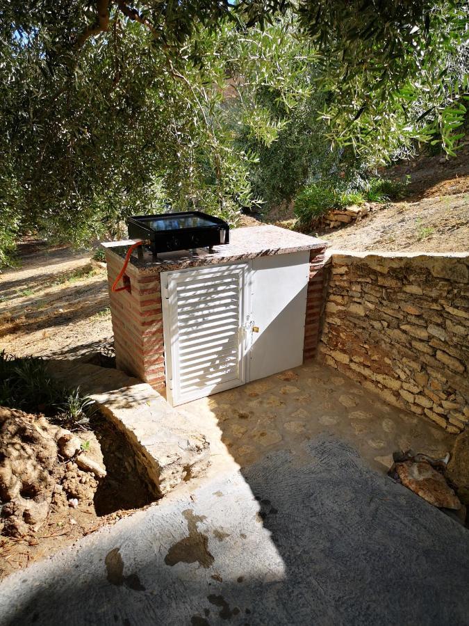 Apartamento El Carmen Setenil De Las Bodegas Exterior photo